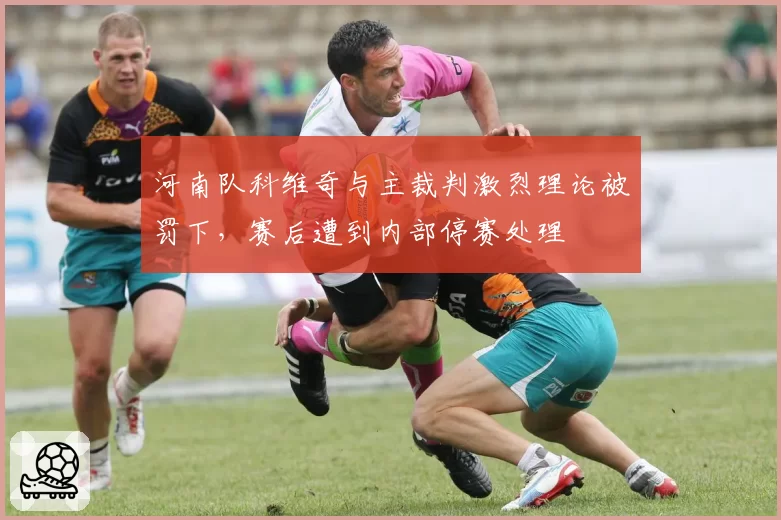 河南队科维奇与主裁判激烈理论被罚下，赛后遭到内部停赛处理