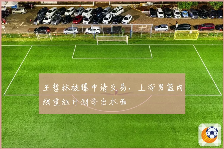王哲林被曝申请交易，上海男篮内线重组计划浮出水面